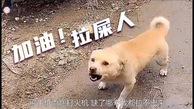 搞笑配音:加油,拉屎人