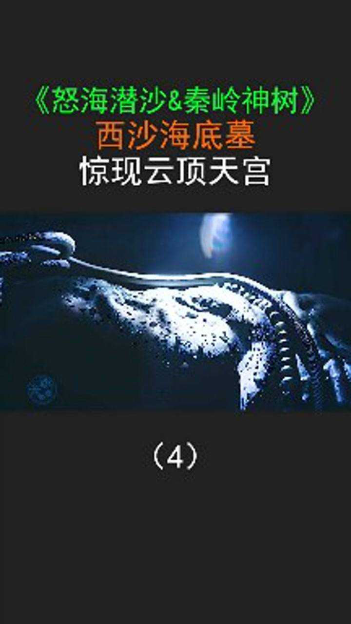 盗墓笔记之怒海潜沙西沙海底墓惊现云顶天宫