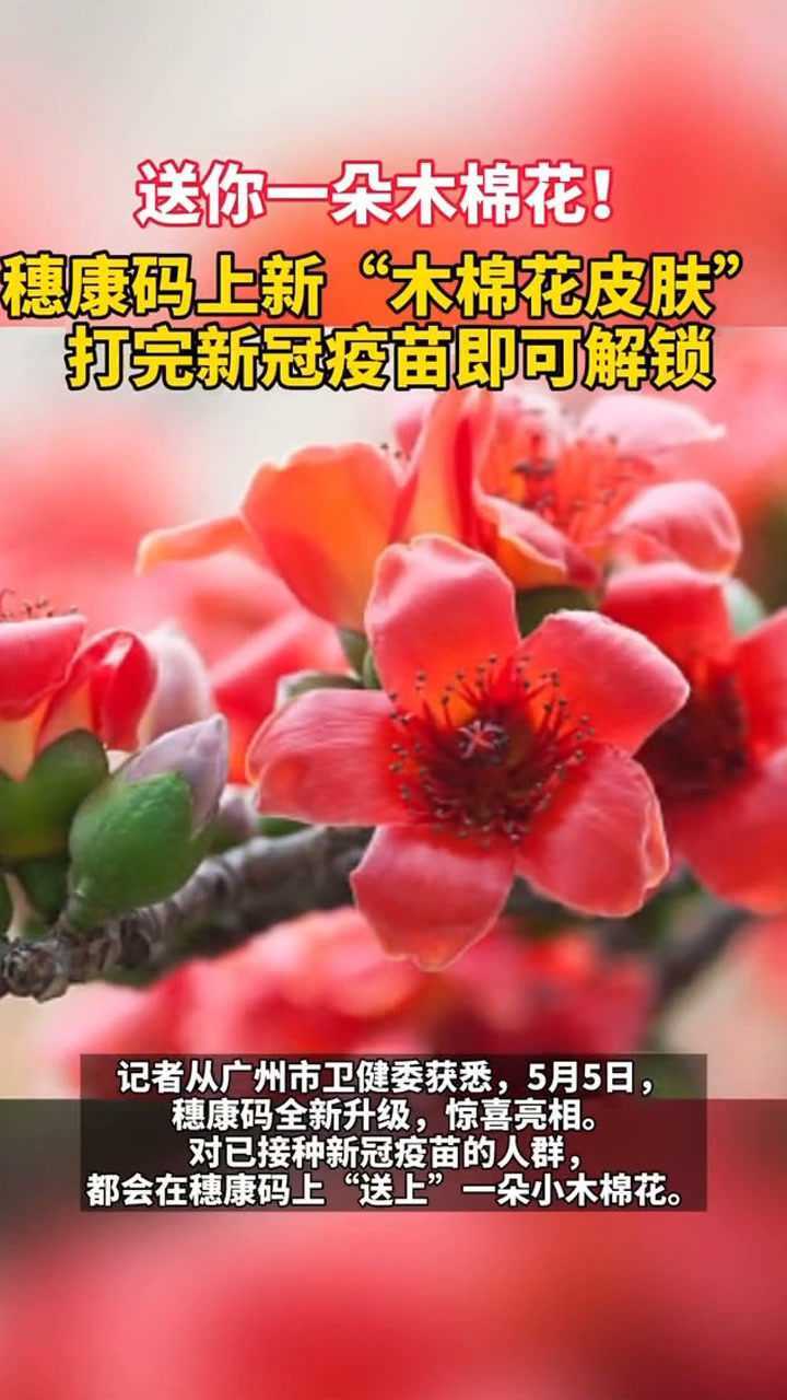 送你一朵木棉花穗康码上新木棉花皮肤打完新冠疫苗即可解锁