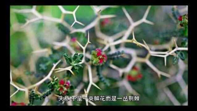 调整心态战胜困境