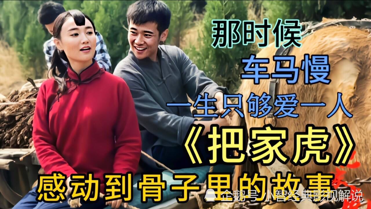既能让人莞尔一笑又能让人感动到骨子里的电影把家虎