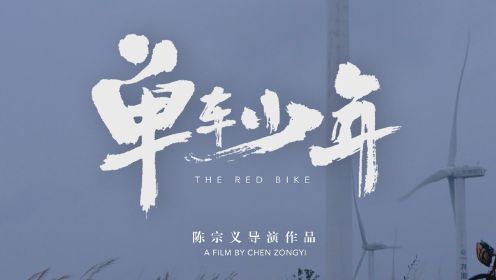 单车少年（作者：陈宗义）