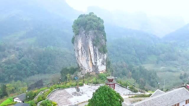 贵州天然大白菜真是天下奇观,用一个字形容美不胜收