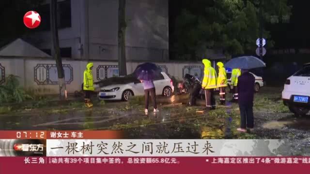 浙江衢州:狂风暴雨“突袭” 多部门联动开展救援