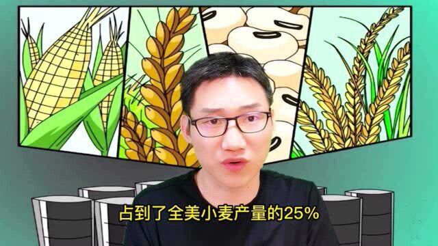 从绝育种子到生物燃料,没有一粒粮食是自由贸易