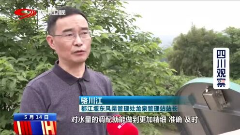 四川新闻联播丨保粮食安全 春灌在行动