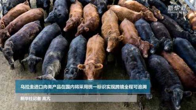 乌拉圭进口肉类产品在国内将采用统一标识实现跨境全程可追溯