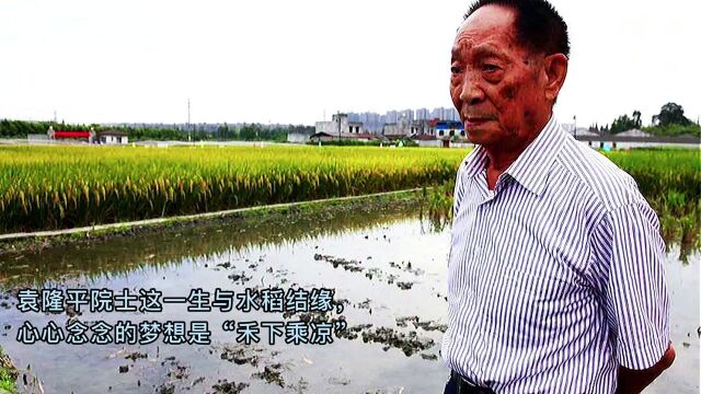 食饱饭当思袁公,谷圣永留人间.