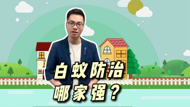 阿姨爷叔请提问丨白蚁防治哪家好?