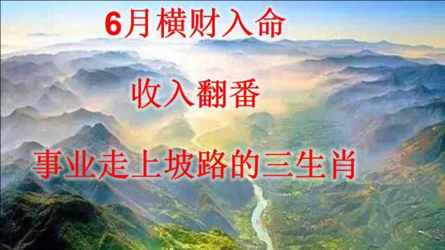 6月横财入命,收入翻番,事业走上坡路的三生肖