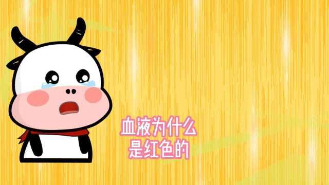 血液为什么是红色的#涨知识