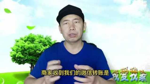 设置微信转账延迟到账,会不会影响微信扫码支付?看完你就明白了