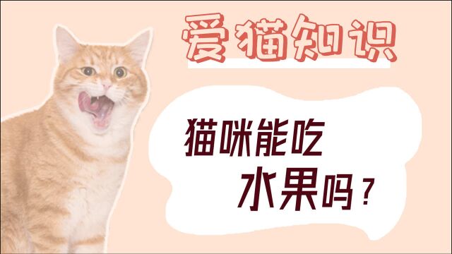 猫咪能吃水果吗?