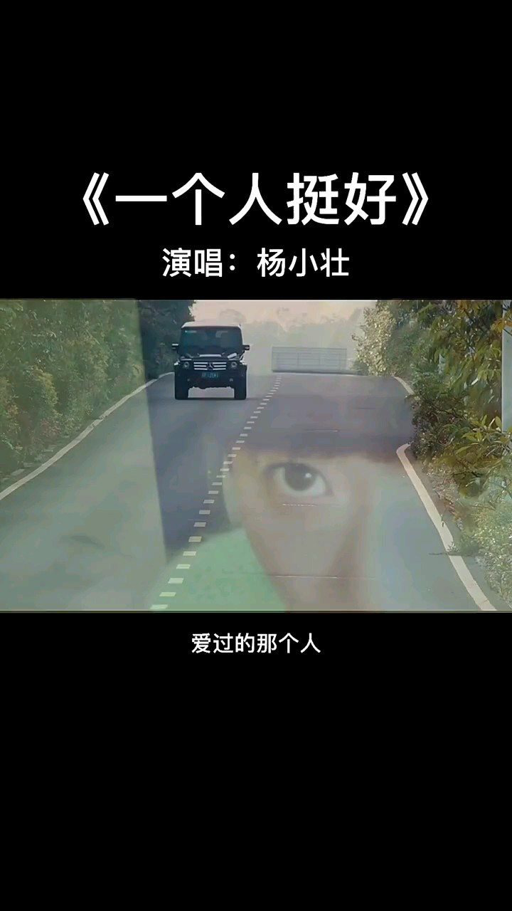《一个人挺好》—杨小壮