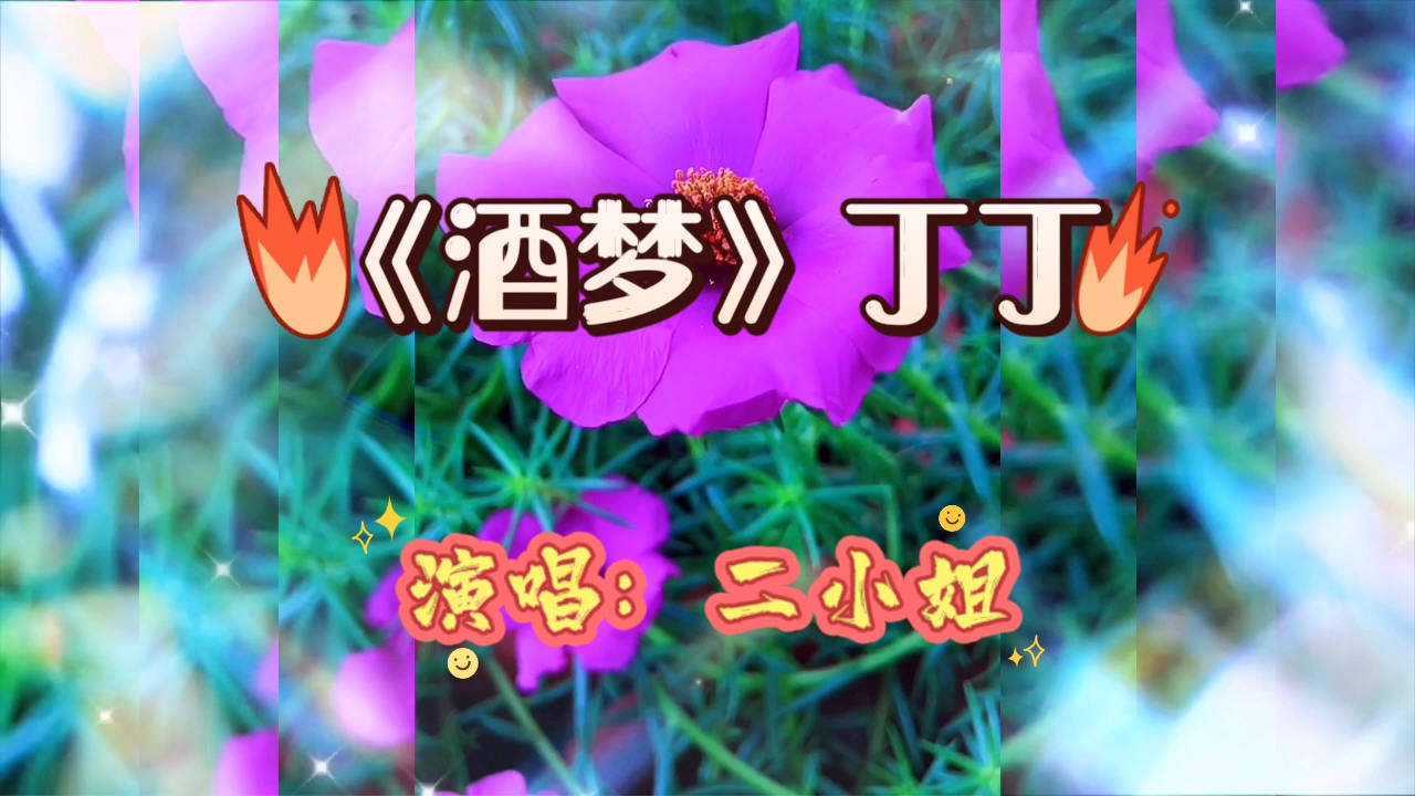 最近短视频平台最火的闽南语歌曲网红二小姐的成名曲声线特别柔美