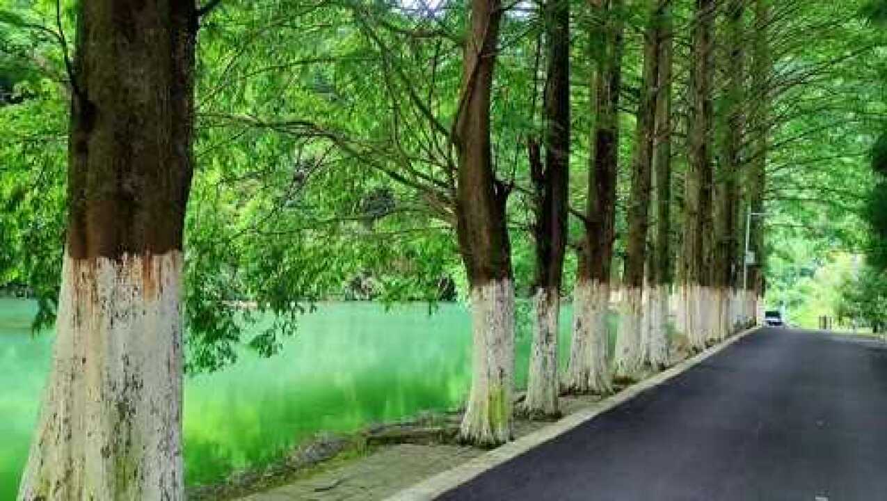 瓮安朱家山国家森林公园赶紧来打卡你来呀