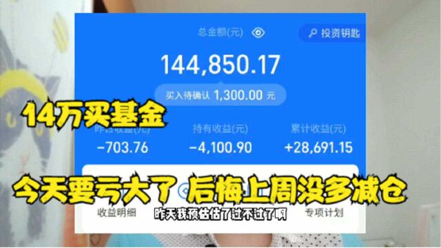 14万买基金一天亏700多 后悔上周五没有多减仓一些