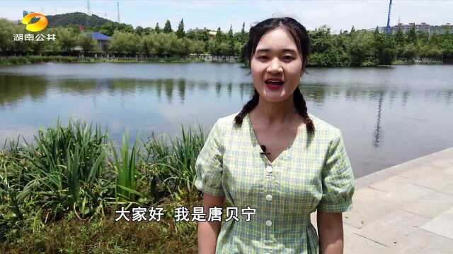 (欢迎来到我的大学)湖南中医药大学:名医相伴美景为友 这就是你想要的大学!