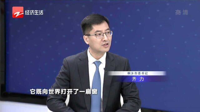 法治浙江建设15周年 桐乡的法治实践