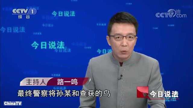 回顾:男子爱鸟成瘾,竟私自布下“天网”猎鸟,不料被抓个正着