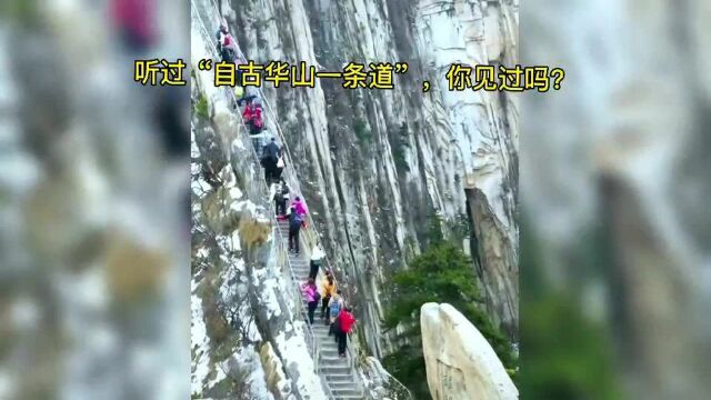 听过渭南华山“自古华山一条道”,你见过吗?