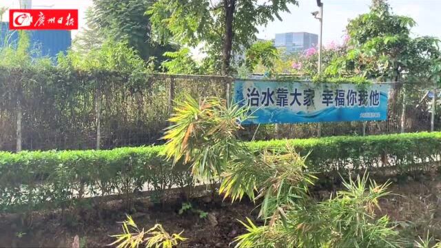 河涌变风景廊道!番禺大石街多举措推进水环境治理工作