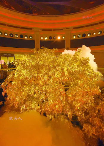 澳门永利价值20亿的发财树,每片叶子都是纯金打造,刷到的朋友财运连连