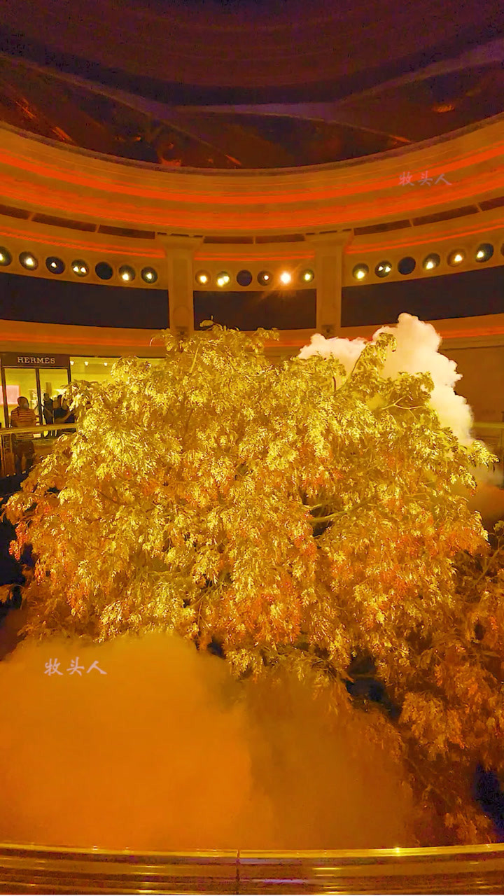 澳门永利价值20亿的发财树,每片叶子都是纯金打造,刷到的朋友财运连连