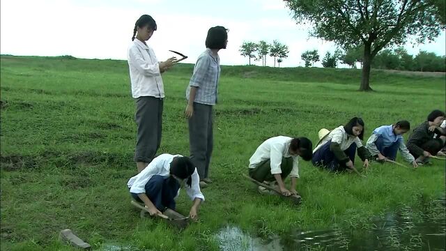 知青孙敬文和齐勇之间似乎有着什么不可告人的秘密