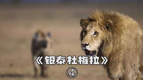 《银泰杜梅拉》：鬣狗与狮子，永世的宿敌，霸气连杀两任鬣狗女王