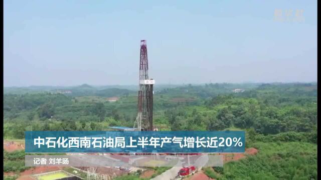 中石化西南石油局上半年产气增长近20%