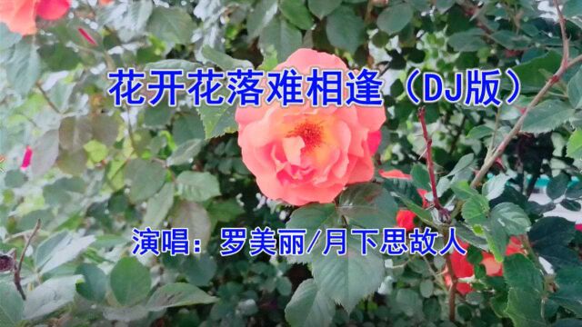 罗美丽/月下思故人一首《花开花落难相逢》好听醉人,百听不厌!