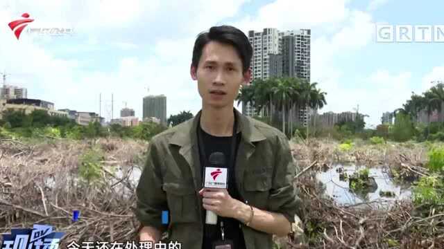 中山:“后花园”变“污水池” 多次投诉仍未完成整改