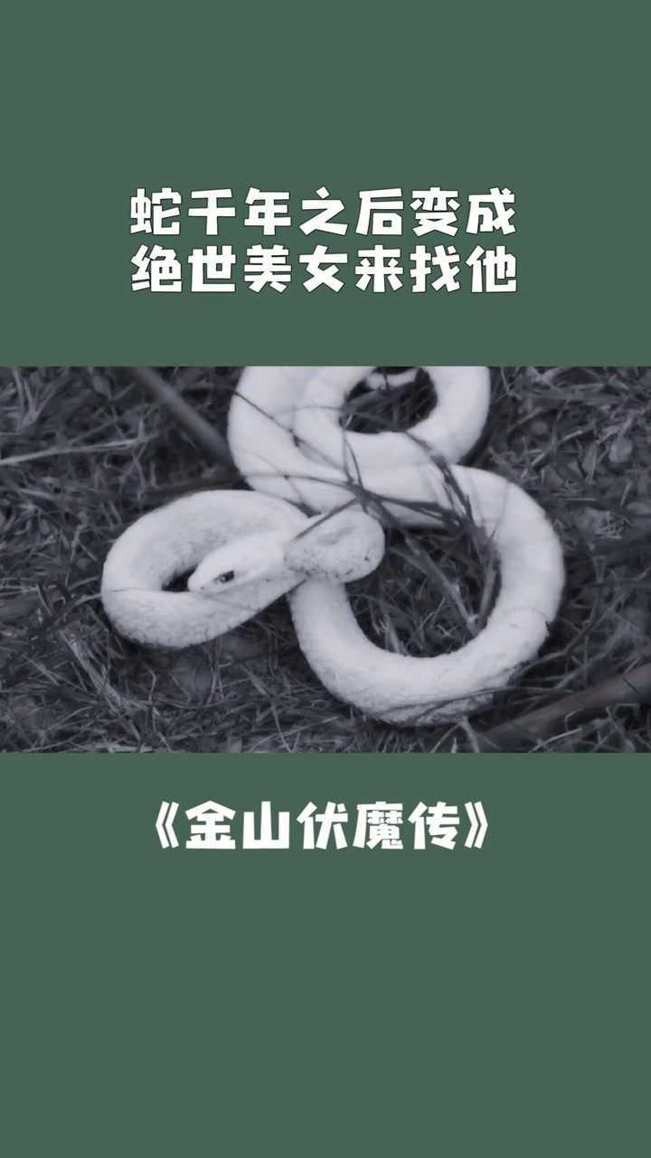 金山伏魔传小孩救了一条蛇千年之后变成绝世美女来找他