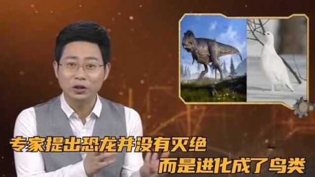 专家提出恐龙并没有灭绝,而是进化成了鸟类