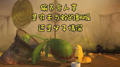爆笑虫子：小黄偷养食人草，是情深意切_还是农夫与蛇的故事？
