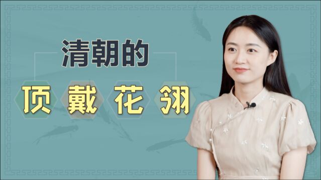 清朝的“顶戴花翎”,到底是指的什么?地位尊卑一看便知