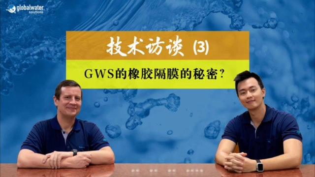 美国GWS技术访谈三:GWS橡胶隔膜的秘密