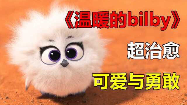 爱与善良,让我们变得勇敢,一个永不言弃的暖心动画《温暖的bilby》#电影种草指南短视频大赛#