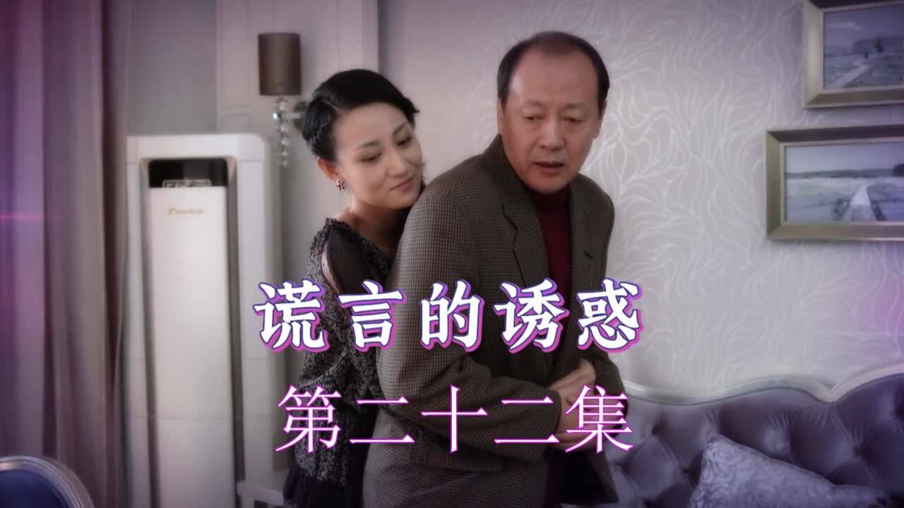 谎言的谎言王宏图片