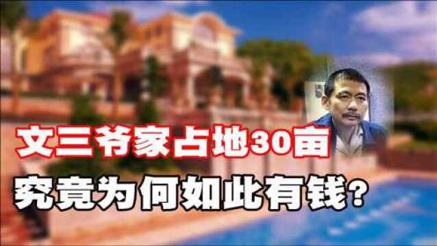 文三爷家占地近30亩,银行卡流水70亿,究竟做了什么如此有钱?