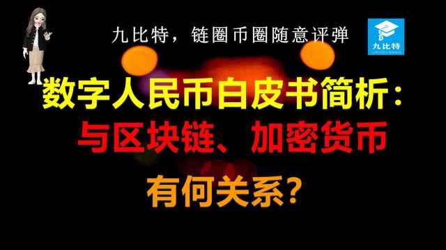 九比特,链圈币圈随意评弹⠠数字人民币白皮书简析:与区块链、加密货币有何关系?