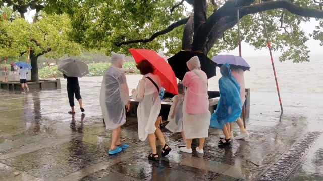 台风烟花登陆,探店网红吴山烤鸡银泰百货,西湖畔杭州城生活气息