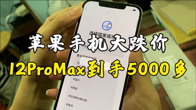 苹果新机型大跌价,12ProMax到手5000多,老司机捡漏日常