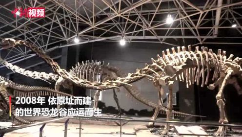 云南禄丰世界恐龙谷：上演侏罗纪“大片”