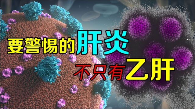 不可治愈的肝炎不只有乙肝,还要警惕的有四个!