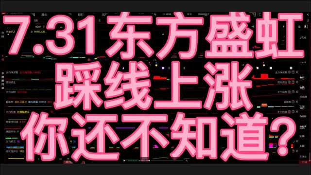 7.31东方盛虹,踩线上涨,你还不知道?