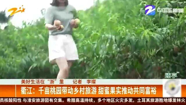 美好生活在浙里:衢江——千亩桃园带动乡村旅游甜蜜果实推动共同富裕