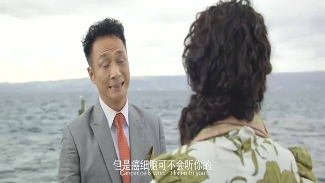 亿万老总相信女人的话,助理一气之下把公司资产全拿去买烂股票