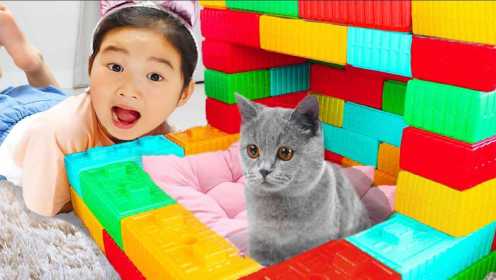 韩国宝蓝捡到两只流浪的小野猫，用乐高积木为小猫们搭建房子吧！
